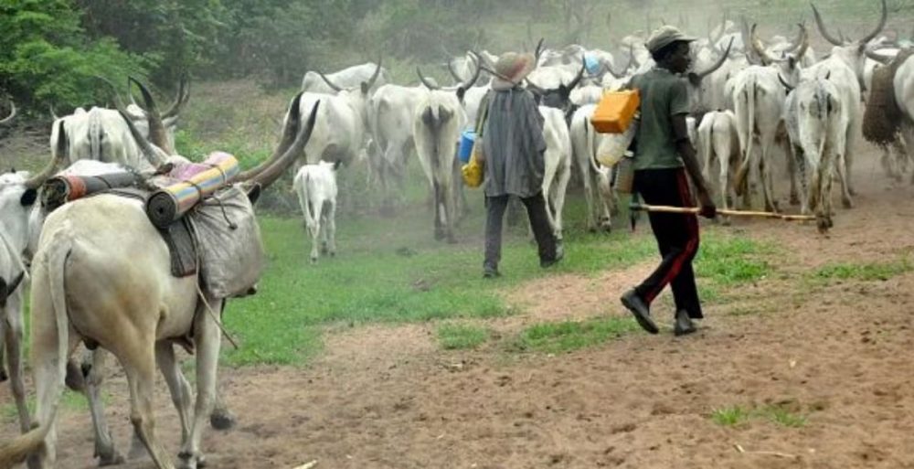 Two thieves arrested for stealing 300 cattle from Kete-Krachi