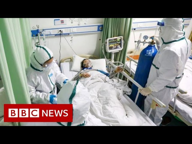 Coronavirus kills 97 in deadliest day so far