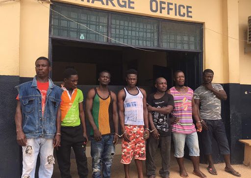 Fourteen suspected land guards arrested