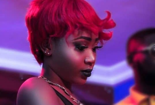 Akuapem Poloo lands ambassadorial deal amid photo saga