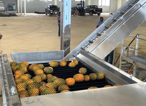 Akufo-Addo opens Ekumfi Juice, Casa De Ropa potato factories today