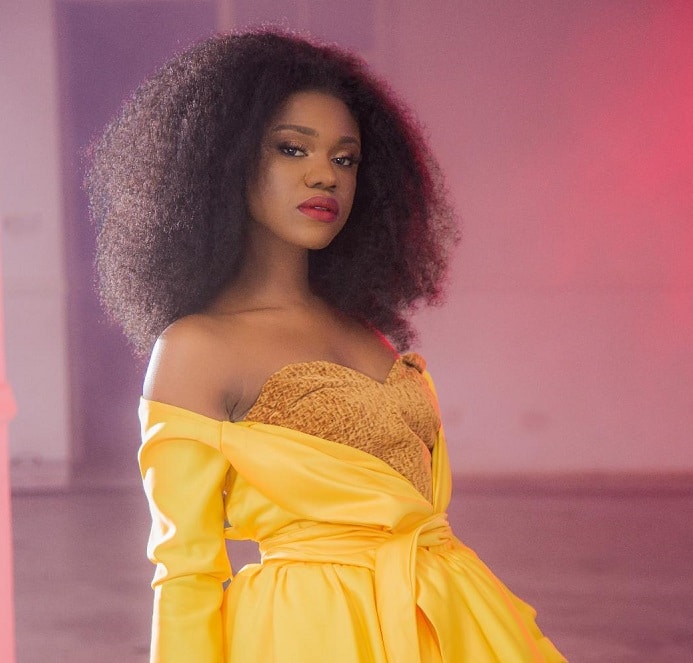I will retire from active music after releasing my last album – Becca
