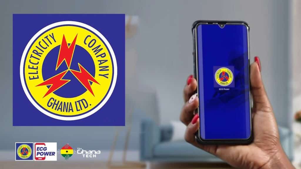 ECG to begin operation ‘No Free Consumption’ today