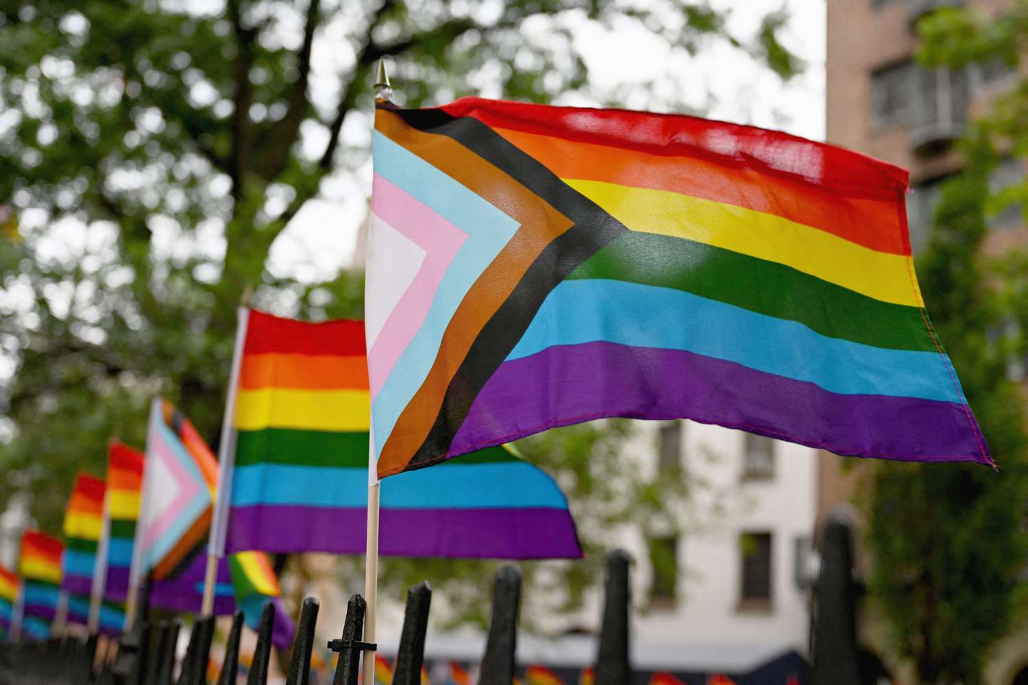 Parliament Passes Legislation Imposing 3 to 5 Years Jail Term for Promoting LGBTQ+