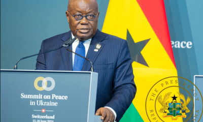IAWPA tells Akufo-Addo to ensure top notch security for 2024 elections