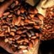 Ghana seeks 0m loan from Cocoa Traders amid delays in traditional financing